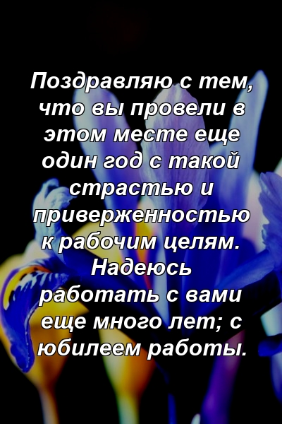 Поздравляю с тем, что вы провели в этом месте еще один год с такой страстью и приверженностью к рабочим целям. Надеюсь работать с вами еще много лет; с юбилеем работы.