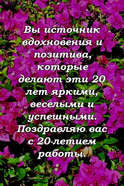 Вы источник вдохновения и позитива, которые делают эти 20 лет яркими, веселыми и успешными. Поздравляю вас с 20-летием работы.