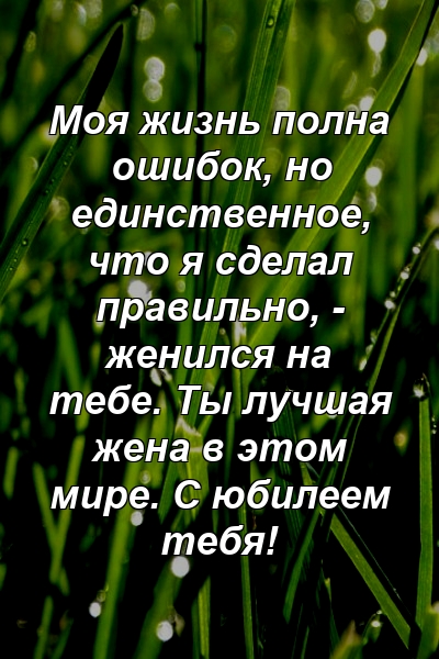 Моя жизнь полна ошибок, но единственное, что я сделал правильно, - женился на тебе. Ты лучшая жена в этом мире. С юбилеем тебя!