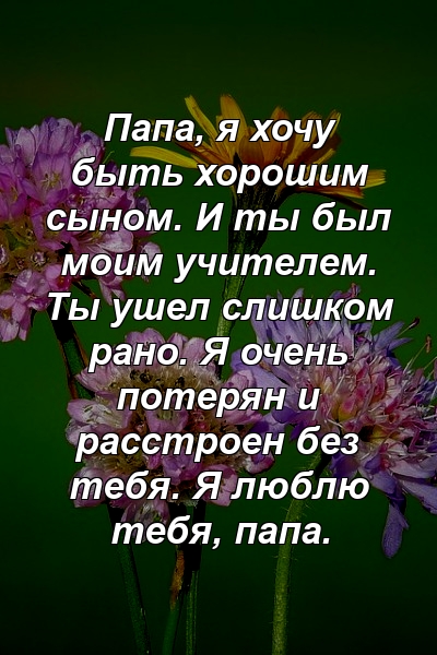 Папа, я хочу быть хорошим сыном. И ты был моим учителем. Ты ушел слишком рано. Я очень потерян и расстроен без тебя. Я люблю тебя, папа.