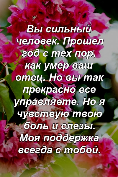 Вы сильный человек. Прошел год с тех пор, как умер ваш отец. Но вы так прекрасно все управляете. Но я чувствую твою боль и слезы. Моя поддержка всегда с тобой.