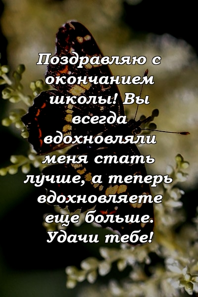 Поздравляю с окончанием школы! Вы всегда вдохновляли меня стать лучше, а теперь вдохновляете еще больше. Удачи тебе!