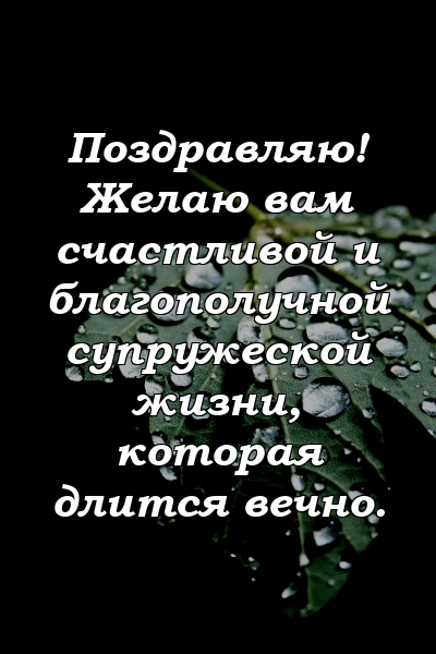 Поздравляю! Желаю вам счастливой и благополучной супружеской жизни, которая длится вечно.