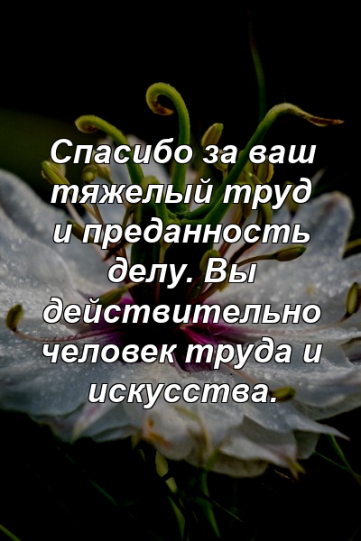 Спасибо за ваш тяжелый труд и преданность делу. Вы действительно человек труда и искусства.