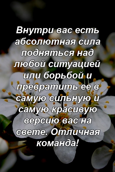 Внутри вас есть абсолютная сила подняться над любой ситуацией или борьбой и превратить ее в самую сильную и самую красивую версию вас на свете. Отличная команда!