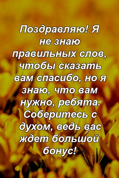 Поздравляю! Я не знаю правильных слов, чтобы сказать вам спасибо, но я знаю, что вам нужно, ребята. Соберитесь с духом, ведь вас ждет большой бонус!