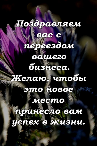 Поздравляем вас с переездом вашего бизнеса. Желаю, чтобы это новое место принесло вам успех в жизни.