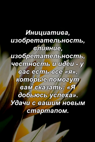 Инициатива, изобретательность, влияние, изобретательность, честность и идеи - у вас есть все «я», которые помогут вам сказать: «Я добьюсь успеха». Удачи с вашим новым стартапом.