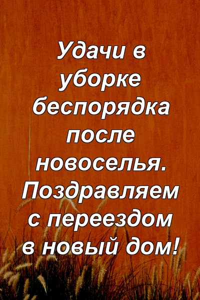 Удачи в уборке беспорядка после новоселья. Поздравляем с переездом в новый дом!