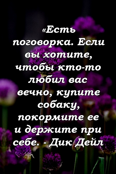 «Есть поговорка. Если вы хотите, чтобы кто-то любил вас вечно, купите собаку, покормите ее и держите при себе. - Дик Дейл