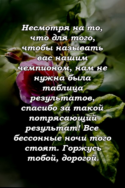 Несмотря на то, что для того, чтобы называть вас нашим чемпионом, нам не нужна была таблица результатов, спасибо за такой потрясающий результат! Все бессонные ночи того стоят. Горжусь тобой, дорогой.