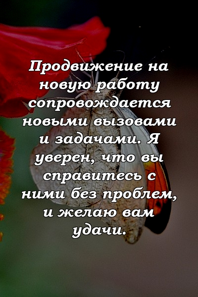 Продвижение на новую работу сопровождается новыми вызовами и задачами. Я уверен, что вы справитесь с ними без проблем, и желаю вам удачи.