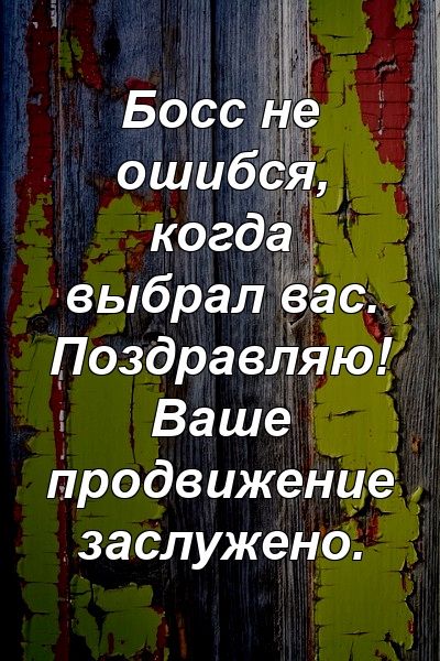 Босс не ошибся, когда выбрал вас. Поздравляю! Ваше продвижение заслужено.