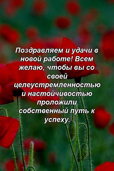 Поздравляем и удачи в новой работе! Всем желаю, чтобы вы со своей целеустремленностью и настойчивостью проложили собственный путь к успеху.