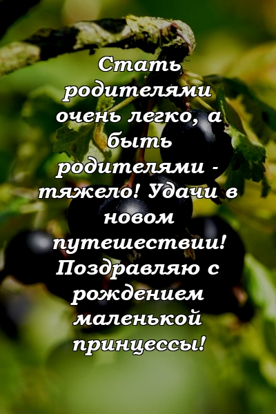 Стать родителями очень легко, а быть родителями - тяжело! Удачи в новом путешествии! Поздравляю с рождением маленькой принцессы!