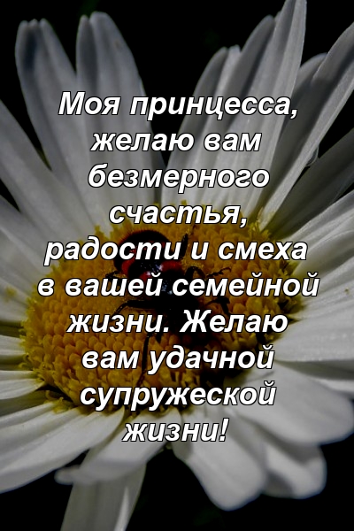 Моя принцесса, желаю вам безмерного счастья, радости и смеха в вашей семейной жизни. Желаю вам удачной супружеской жизни!