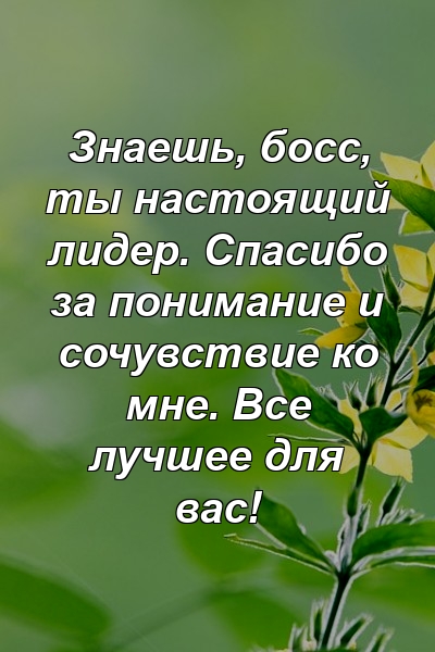 Знаешь, босс, ты настоящий лидер. Спасибо за понимание и сочувствие ко мне. Все лучшее для вас!