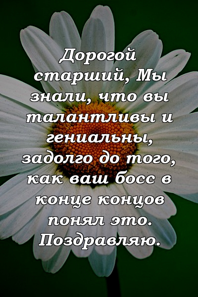 Дорогой старший, Мы знали, что вы талантливы и гениальны, задолго до того, как ваш босс в конце концов понял это. Поздравляю.