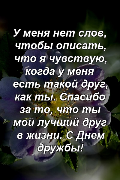 У меня нет слов, чтобы описать, что я чувствую, когда у меня есть такой друг, как ты. Спасибо за то, что ты мой лучший друг в жизни. С Днем дружбы!