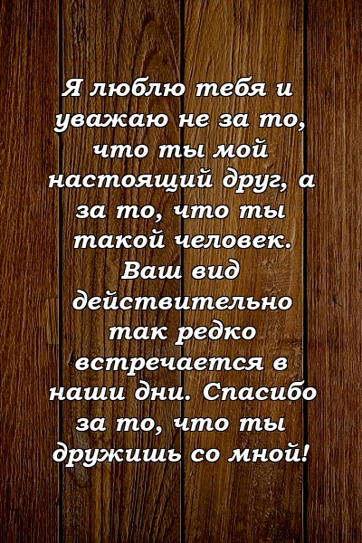 Я люблю тебя и уважаю не за то, что ты мой настоящий друг, а за то, что ты такой человек. Ваш вид действительно так редко встречается в наши дни. Спасибо за то, что ты дружишь со мной!