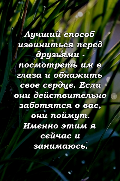 Лучший способ извиниться перед друзьями - посмотреть им в глаза и обнажить свое сердце. Если они действительно заботятся о вас, они поймут. Именно этим я сейчас и занимаюсь.